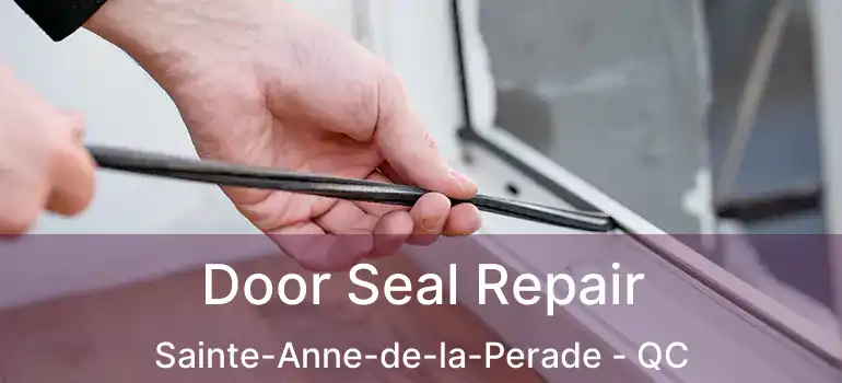  Door Seal Repair Sainte-Anne-de-la-Perade - QC