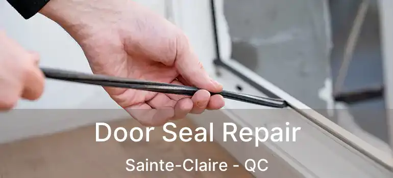  Door Seal Repair Sainte-Claire - QC