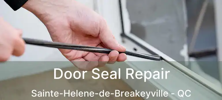  Door Seal Repair Sainte-Helene-de-Breakeyville - QC