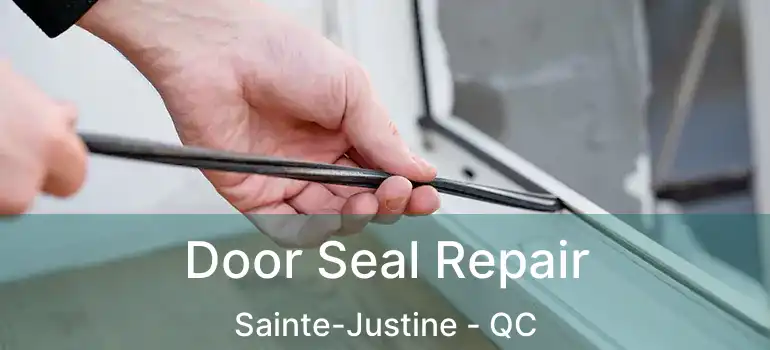  Door Seal Repair Sainte-Justine - QC