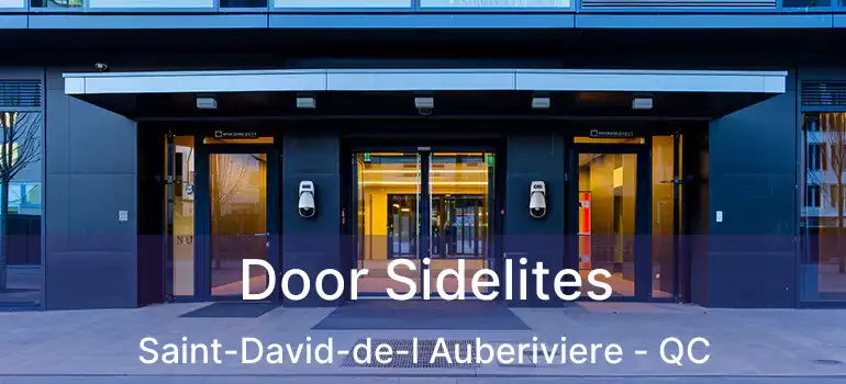  Door Sidelites Saint-David-de-l Auberiviere - QC