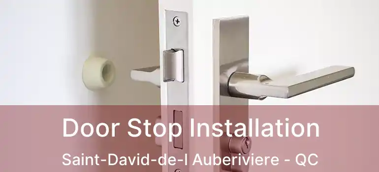  Door Stop Installation Saint-David-de-l Auberiviere - QC
