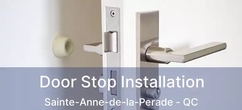  Door Stop Installation Sainte-Anne-de-la-Perade - QC