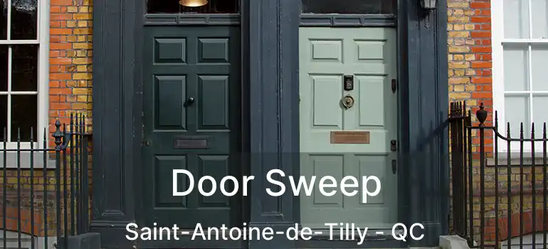  Door Sweep Saint-Antoine-de-Tilly - QC