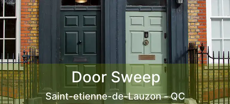  Door Sweep Saint-etienne-de-Lauzon - QC