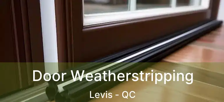  Door Weatherstripping Levis - QC