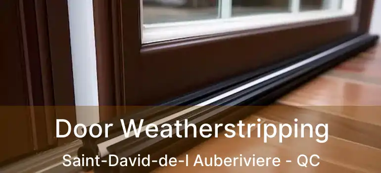  Door Weatherstripping Saint-David-de-l Auberiviere - QC