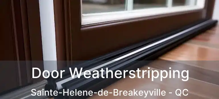  Door Weatherstripping Sainte-Helene-de-Breakeyville - QC