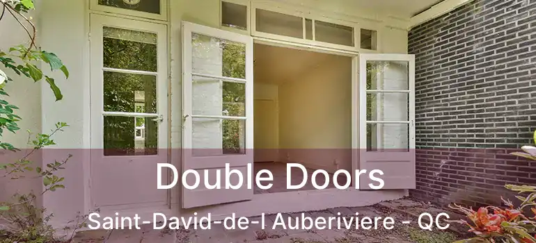  Double Doors Saint-David-de-l Auberiviere - QC