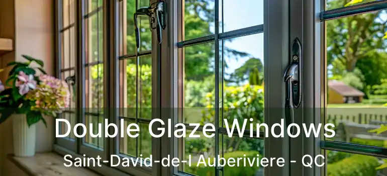  Double Glaze Windows Saint-David-de-l Auberiviere - QC
