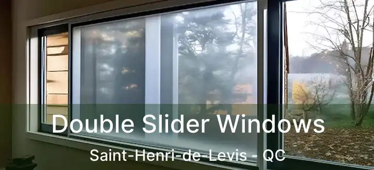  Double Slider Windows Saint-Henri-de-Levis - QC