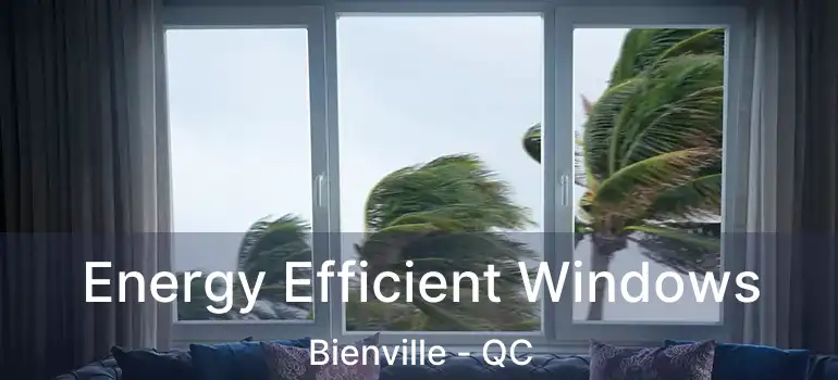  Energy Efficient Windows Bienville - QC