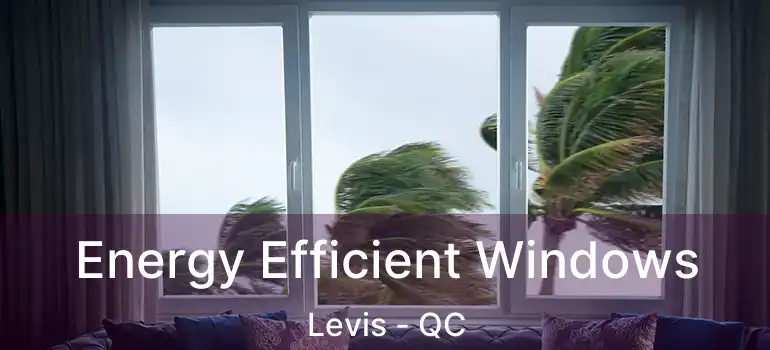 Energy Efficient Windows Levis - QC