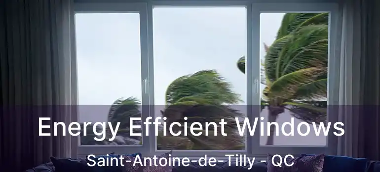  Energy Efficient Windows Saint-Antoine-de-Tilly - QC
