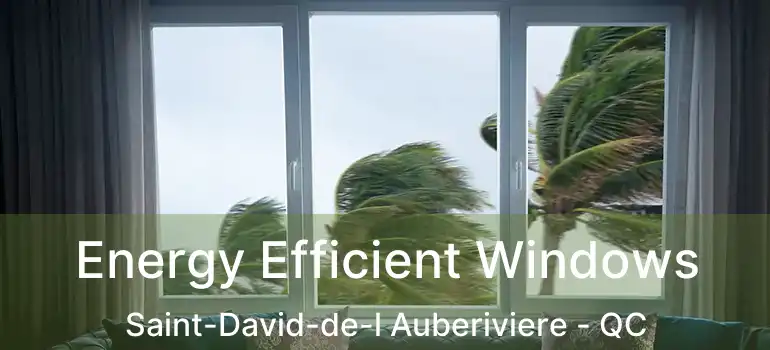  Energy Efficient Windows Saint-David-de-l Auberiviere - QC