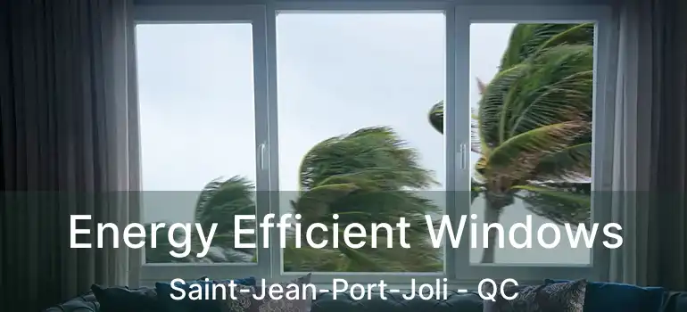 Energy Efficient Windows Saint-Jean-Port-Joli - QC