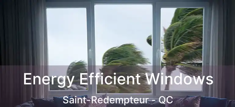  Energy Efficient Windows Saint-Redempteur - QC