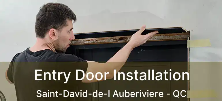  Entry Door Installation Saint-David-de-l Auberiviere - QC