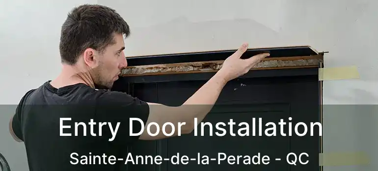  Entry Door Installation Sainte-Anne-de-la-Perade - QC