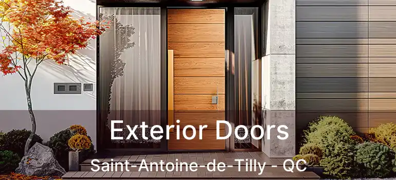  Exterior Doors Saint-Antoine-de-Tilly - QC