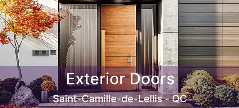  Exterior Doors Saint-Camille-de-Lellis - QC