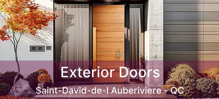  Exterior Doors Saint-David-de-l Auberiviere - QC