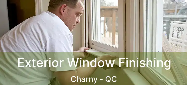  Exterior Window Finishing Charny - QC