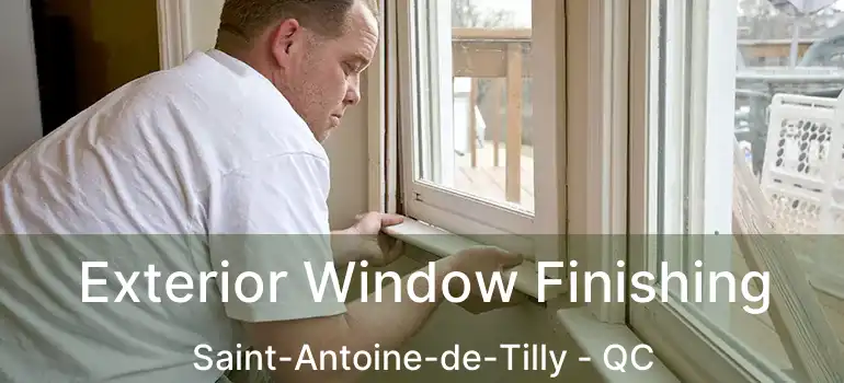  Exterior Window Finishing Saint-Antoine-de-Tilly - QC