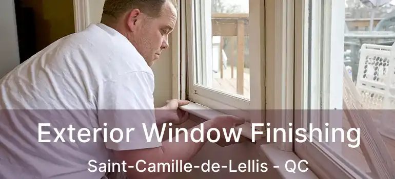  Exterior Window Finishing Saint-Camille-de-Lellis - QC