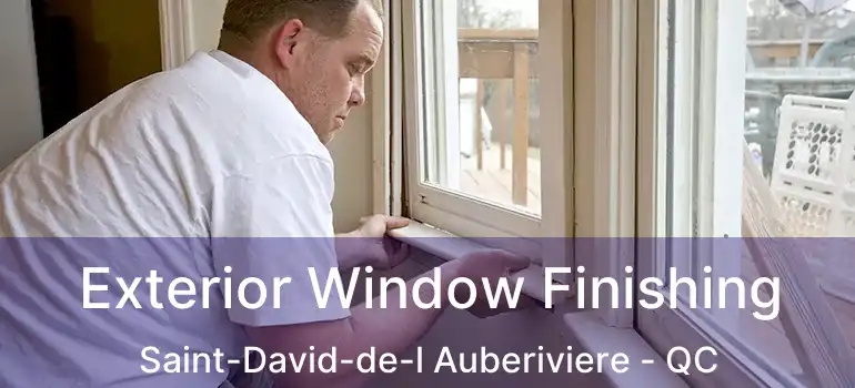  Exterior Window Finishing Saint-David-de-l Auberiviere - QC