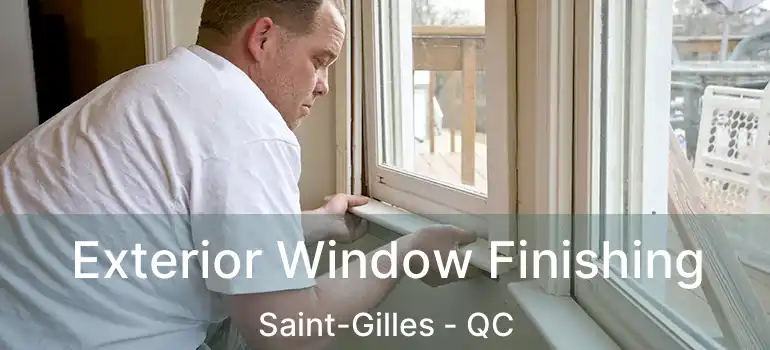  Exterior Window Finishing Saint-Gilles - QC