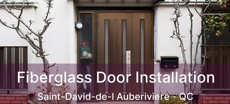  Fiberglass Door Installation Saint-David-de-l Auberiviere - QC