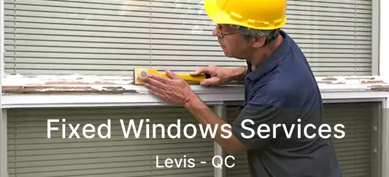  Fixed Windows Services Levis - QC