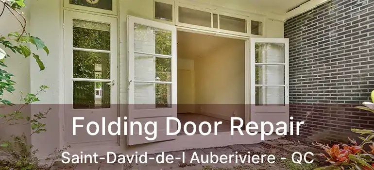  Folding Door Repair Saint-David-de-l Auberiviere - QC