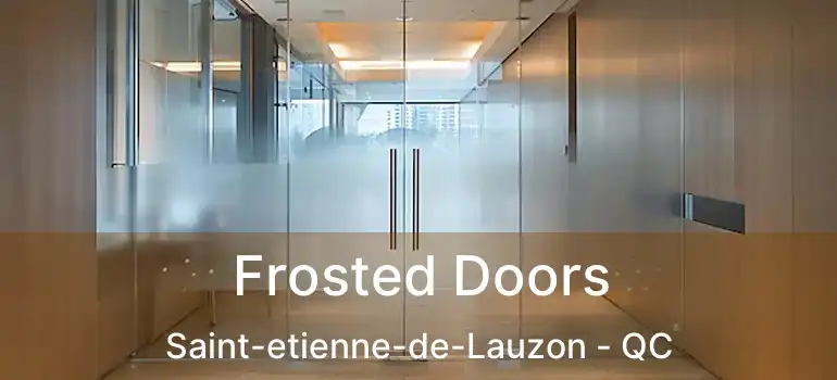  Frosted Doors Saint-etienne-de-Lauzon - QC