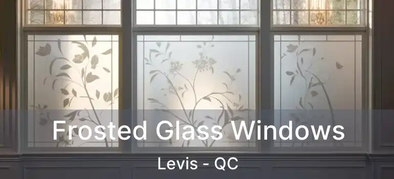 Frosted Glass Windows Levis - QC