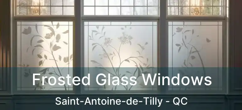  Frosted Glass Windows Saint-Antoine-de-Tilly - QC