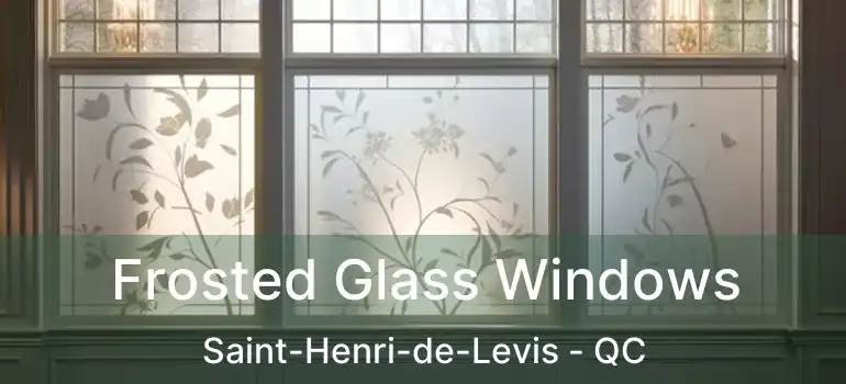  Frosted Glass Windows Saint-Henri-de-Levis - QC