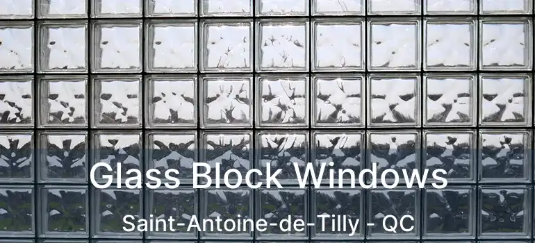  Glass Block Windows Saint-Antoine-de-Tilly - QC