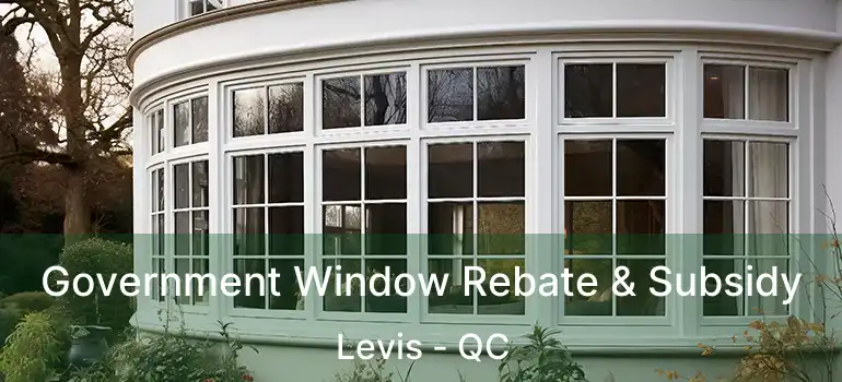  Government Window Rebate & Subsidy Levis - QC