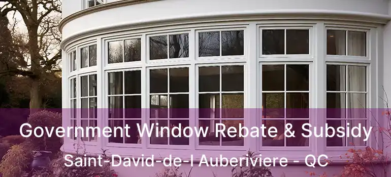  Government Window Rebate & Subsidy Saint-David-de-l Auberiviere - QC