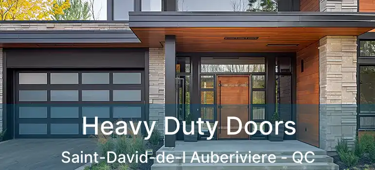  Heavy Duty Doors Saint-David-de-l Auberiviere - QC