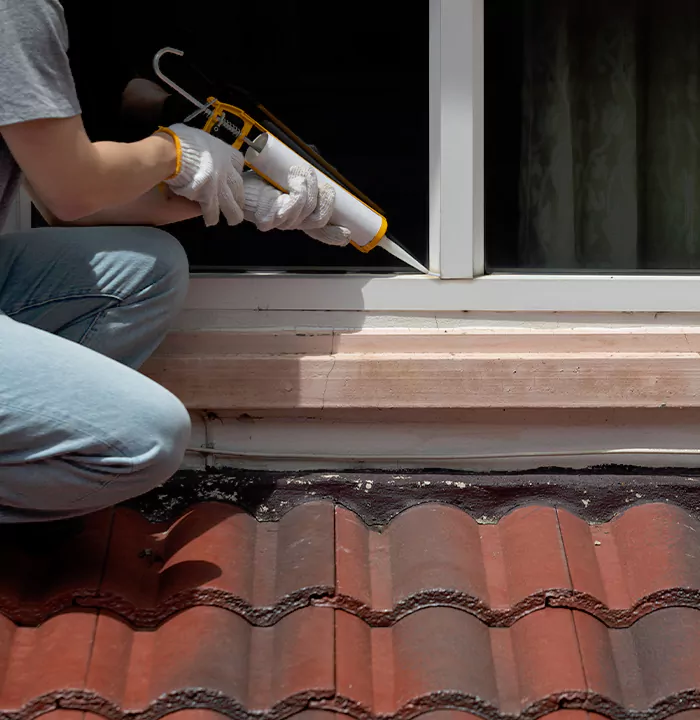 Roof Window Services in Levis, Quebec