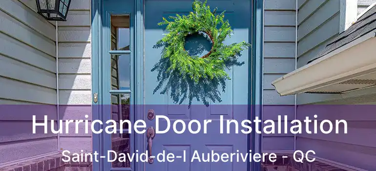  Hurricane Door Installation Saint-David-de-l Auberiviere - QC