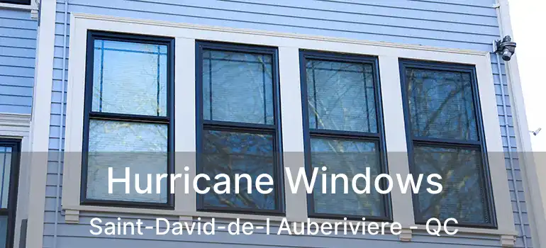  Hurricane Windows Saint-David-de-l Auberiviere - QC