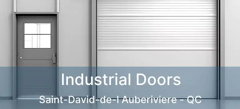  Industrial Doors Saint-David-de-l Auberiviere - QC