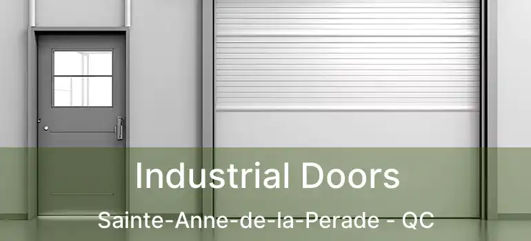  Industrial Doors Sainte-Anne-de-la-Perade - QC