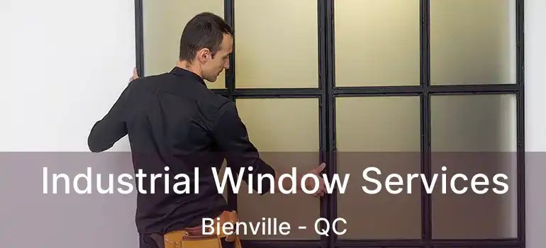  Industrial Window Services Bienville - QC