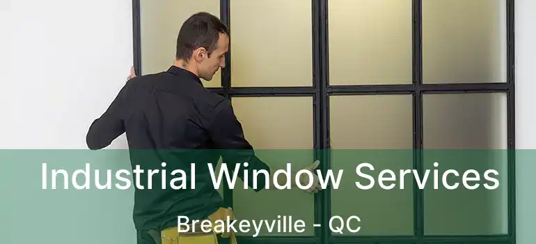  Industrial Window Services Breakeyville - QC