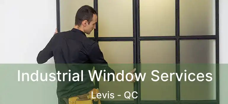  Industrial Window Services Levis - QC